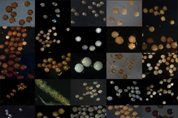 1648517138396203.png 3.png